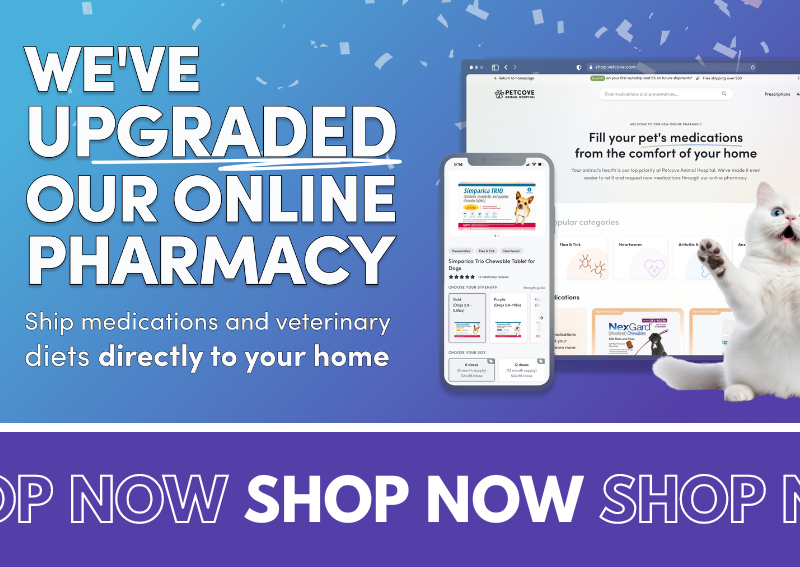 Carousel Slide 5: We've Upgraded our Online Pharmacy